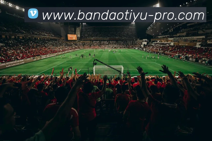 多媒体互动体验