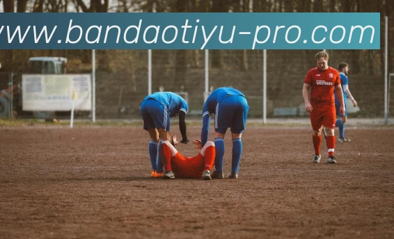 半岛体育APP 体育赛事宣传图